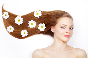 Similar image 1217520