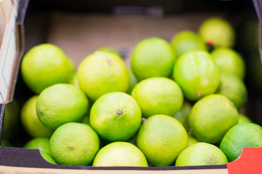 Similar image 1217545