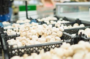 Similar image 1217546