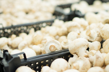 Similar image 1217548