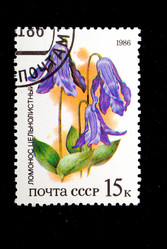 Similar image 1217577