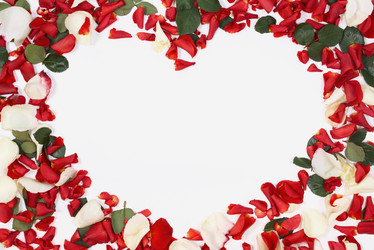 Similar image 1217707