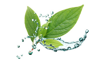 Similar image 1217711