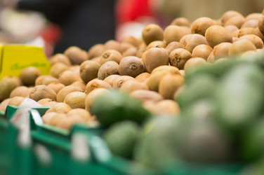 Similar image 1217739