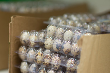 Similar image 1217745