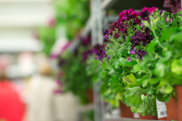 Similar image 1217751