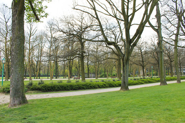 Similar image 1217937