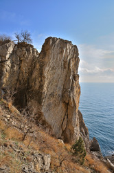 Similar image 1218183