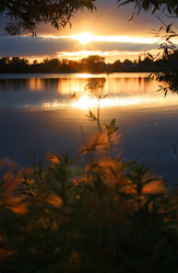 Similar image 1218247