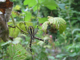 Similar image 1218248