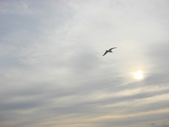 Similar image 1218252