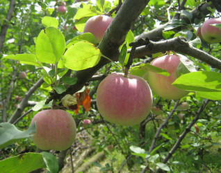 Similar image 1218253