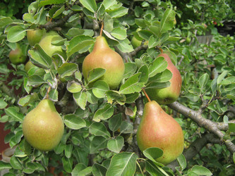 Similar image 1218256