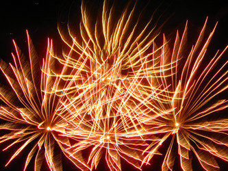 Similar image 1218257