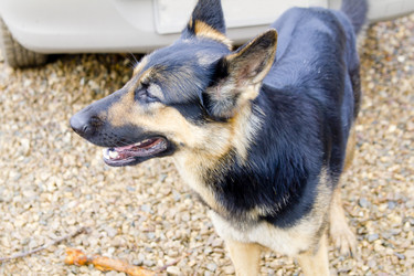 Similar image 1218267