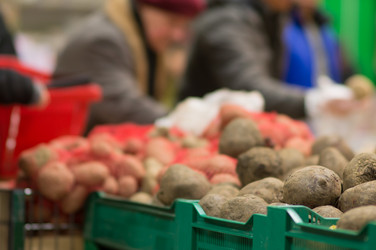 Similar image 1218344