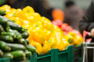 Similar image 1218346