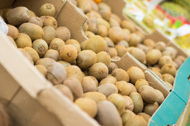 Similar image 1218349