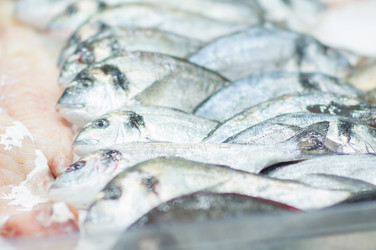 Similar image 1218353