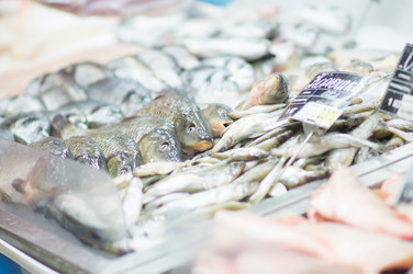 Similar image 1218354