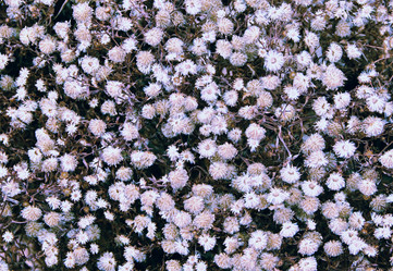 Similar image 1218763