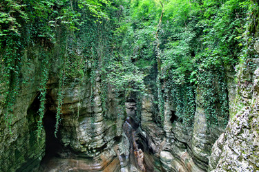 Similar image 1218800