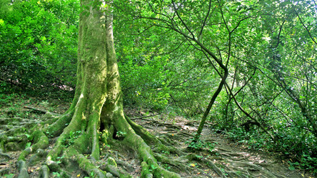 Similar image 1218801