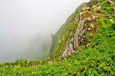 Similar image 1218802