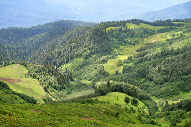 Similar image 1218805