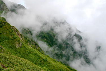 Similar image 1218824