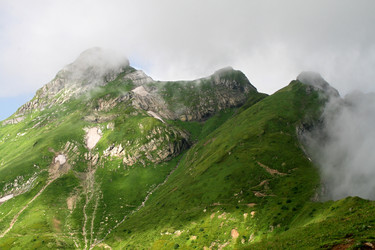 Similar image 1218825