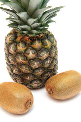 Similar image 1218833