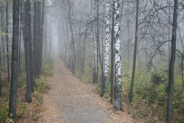 Similar image 1218843