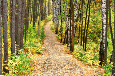 Similar image 1218844