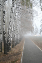 Similar image 1218845