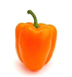 Similar image 1218850