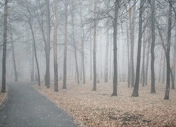 Similar image 1218861