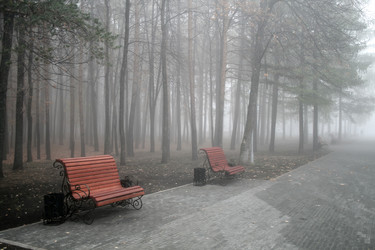 Similar image 1218883