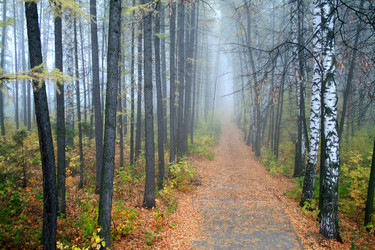 Similar image 1218887