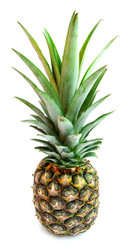 Similar image 1218896