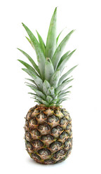 Similar image 1218897