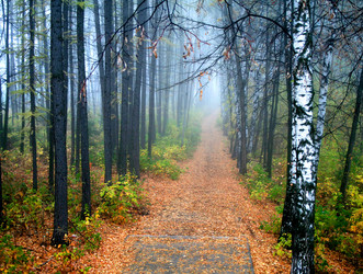 Similar image 1218898