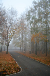 Similar image 1218905