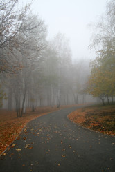 Similar image 1218906