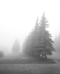 Similar image 1218907