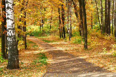 Similar image 1218918