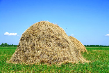 Similar image 1218923