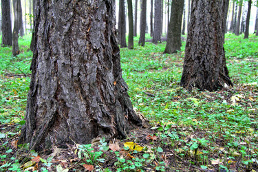 Similar image 1218942