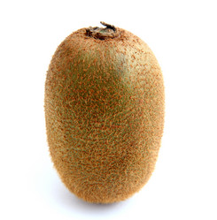 Similar image 1218950