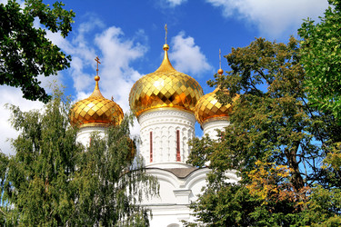 Similar image 1219113